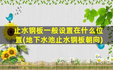 止水钢板一般设置在什么位置(地下水池止水钢板朝向)
