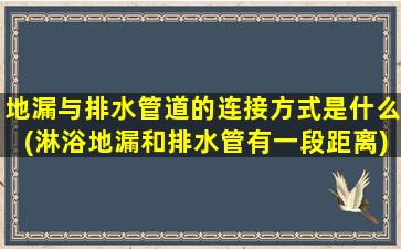 地漏与排水管道的连接方式是什么(淋浴地漏和排水管有一段距离)