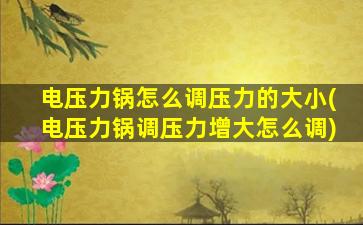 电压力锅怎么调压力的大小(电压力锅调压力增大怎么调)