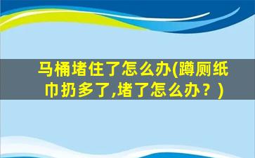 马桶堵住了怎么办(蹲厕纸巾扔多了,堵了怎么办？)