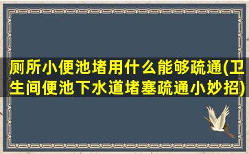 厕所小便池堵用什么能够疏通(卫生间便池下水道堵塞疏通小妙招)