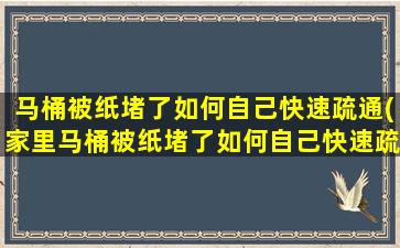 马桶被纸堵了如何自己快速疏通(家里马桶被纸堵了如何自己快速疏通)