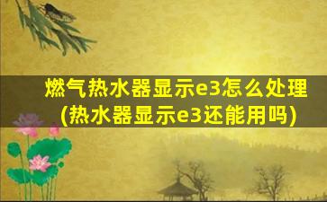 燃气热水器显示e3怎么处理(热水器显示e3还能用吗)