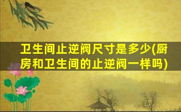 卫生间止逆阀尺寸是多少(厨房和卫生间的止逆阀一样吗)