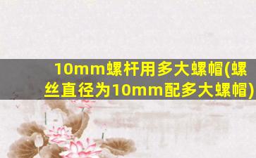 10mm螺杆用多大螺帽(螺丝直径为10mm配多大螺帽)