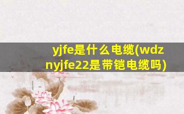 yjfe是什么电缆(wdznyjfe22是带铠电缆吗)