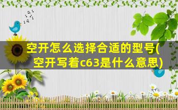 空开怎么选择合适的型号(空开写着c63是什么意思)