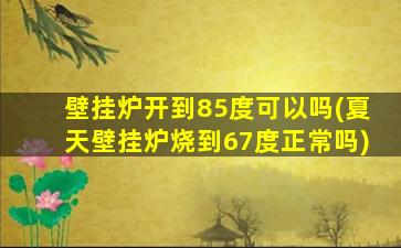 壁挂炉开到85度可以吗(夏天壁挂炉烧到67度正常吗)