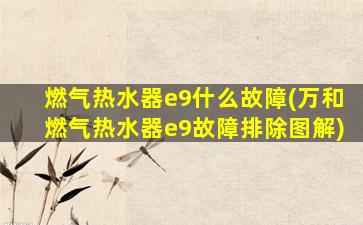 燃气热水器e9什么故障(万和燃气热水器e9故障排除图解)