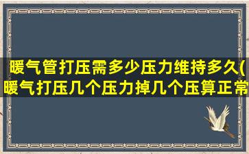 暖气管打压需多少压力维持多久(暖气打压几个压力掉几个压算正常)