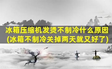 冰箱压缩机发烫不制冷什么原因(冰箱不制冷关掉两天就又好了)