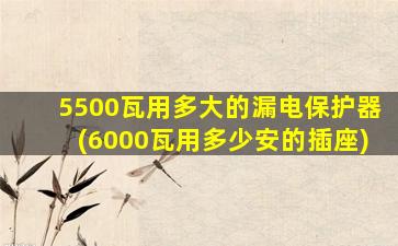 5500瓦用多大的漏电保护器(6000瓦用多少安的插座)