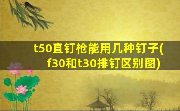 t50直钉枪能用几种钉子(f30和t30排钉区别图)