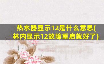 热水器显示12是什么意思(林内显示12故障重启就好了)