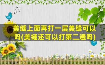 美缝上面再打一层美缝可以吗(美缝还可以打第二遍吗)