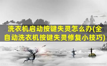 洗衣机启动按键失灵怎么办(全自动洗衣机按键失灵修复小技巧)