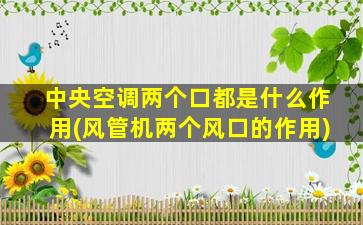 中央空调两个口都是什么作用(风管机两个风口的作用)