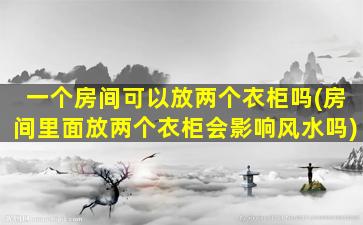 一个房间可以放两个衣柜吗(房间里面放两个衣柜会影响风水吗)