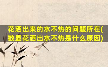 花洒出来的水不热的问题所在(数显花洒出水不热是什么原因)