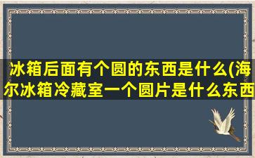 冰箱后面有个圆的东西是什么(海尔冰箱冷藏室一个圆片是什么东西)