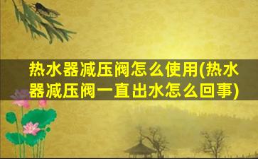 热水器减压阀怎么使用(热水器减压阀一直出水怎么回事)