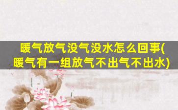 暖气放气没气没水怎么回事(暖气有一组放气不出气不出水)
