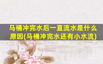 马桶冲完水后一直流水是什么原因(马桶冲完水还有小水流)