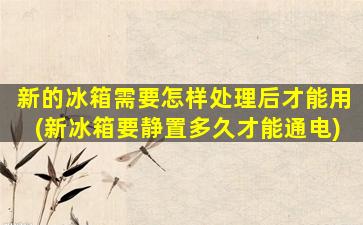 新的冰箱需要怎样处理后才能用(新冰箱要静置多久才能通电)