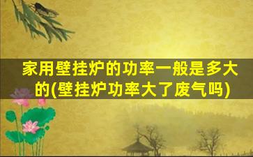 家用壁挂炉的功率一般是多大的(壁挂炉功率大了废气吗)