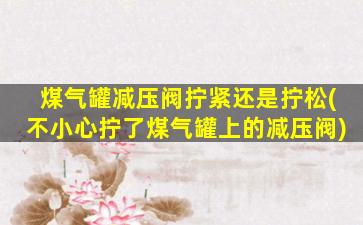 煤气罐减压阀拧紧还是拧松(不小心拧了煤气罐上的减压阀)