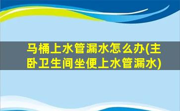 马桶上水管漏水怎么办(主卧卫生间坐便上水管漏水)