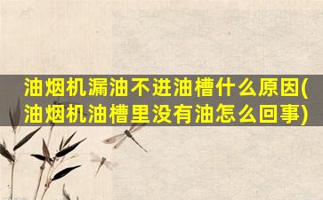 油烟机漏油不进油槽什么原因(油烟机油槽里没有油怎么回事)