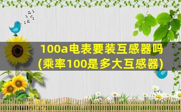 100a电表要装互感器吗(乘率100是多大互感器)