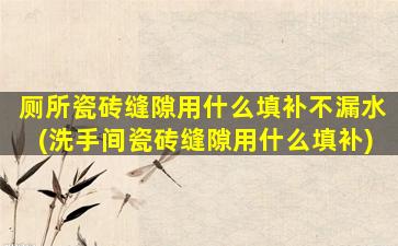 厕所瓷砖缝隙用什么填补不漏水(洗手间瓷砖缝隙用什么填补)