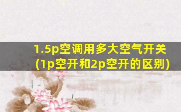 1.5p空调用多大空气开关(1p空开和2p空开的区别)