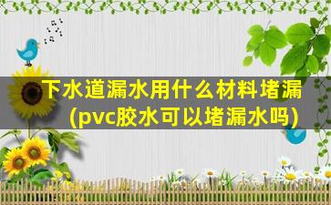 下水道漏水用什么材料堵漏(pvc胶水可以堵漏水吗)