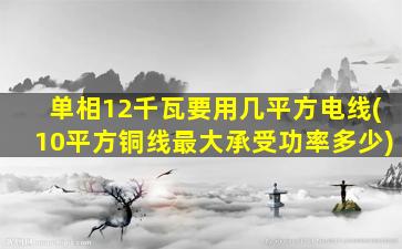 单相12千瓦要用几平方电线(10平方铜线最大承受功率多少)