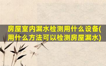 房屋室内漏水检测用什么设备(用什么方法可以检测房屋漏水)