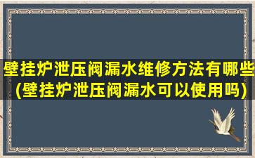 壁挂炉泄压阀漏水维修方法有哪些(壁挂炉泄压阀漏水可以使用吗)