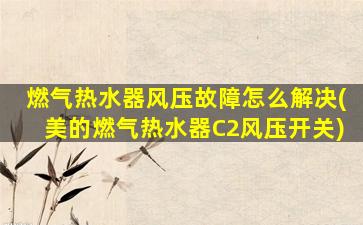 燃气热水器风压故障怎么解决(美的燃气热水器C2风压开关)