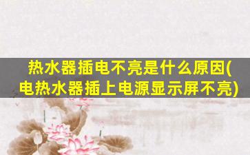 热水器插电不亮是什么原因(电热水器插上电源显示屏不亮)
