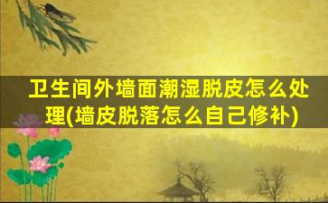 卫生间外墙面潮湿脱皮怎么处理(墙皮脱落怎么自己修补)