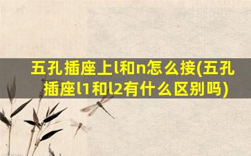 五孔插座上l和n怎么接(五孔插座l1和l2有什么区别吗)