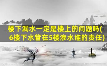楼下漏水一定是楼上的问题吗(6楼下水管在5楼渗水谁的责任)