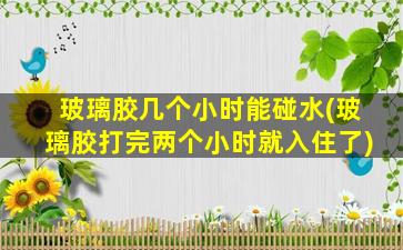 玻璃胶几个小时能碰水(玻璃胶打完两个小时就入住了)