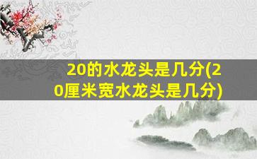 20的水龙头是几分(20厘米宽水龙头是几分)