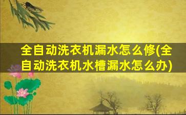 全自动洗衣机漏水怎么修(全自动洗衣机水槽漏水怎么办)