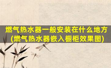 燃气热水器一般安装在什么地方(燃气热水器嵌入橱柜效果图)