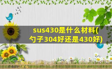 sus430是什么材料(勺子304好还是430好)
