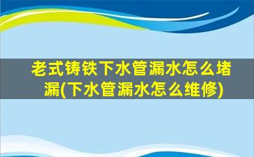 老式铸铁下水管漏水怎么堵漏(下水管漏水怎么维修)